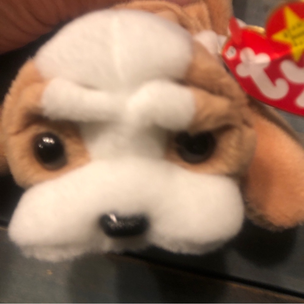 ty Wrinkles Beanie Babies - Brown and White Plush Dog Toy with Floppy Ears - Picture 5 of 10